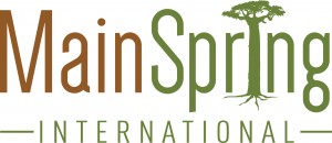 MainSpring International
