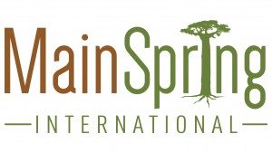 MainSpring International